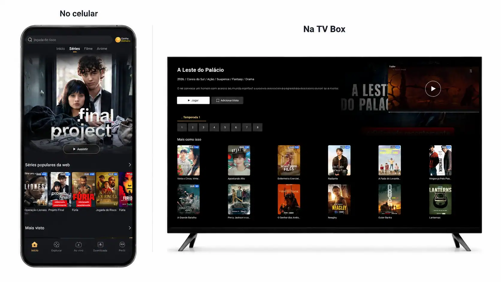 Diferença entre o Cinegato para celular e o Cinegato TV
